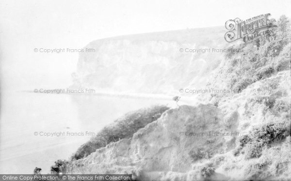 Photo of White Cliff Bay, 1935