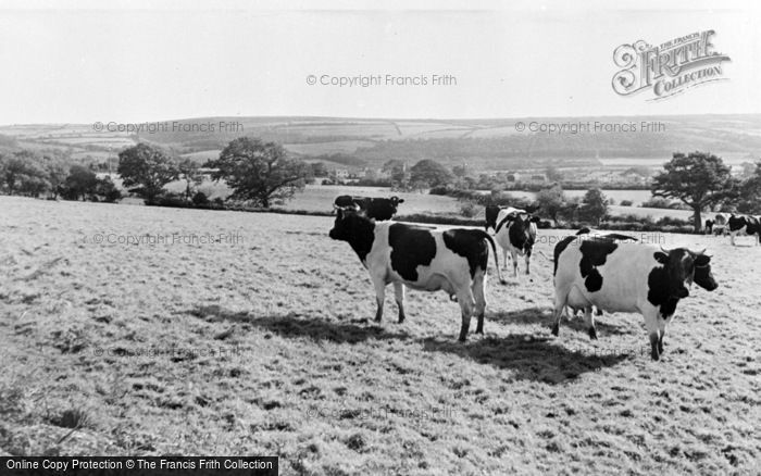 Photo of Whitland, General View c.1955