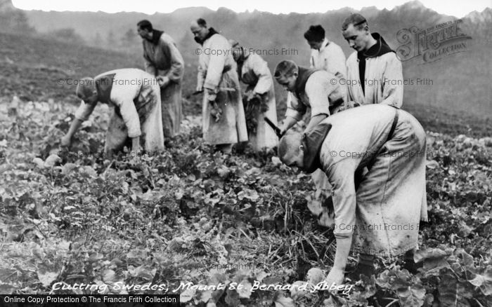 Photo of Whitwick, Cutting Swedes, Mount St Bernard Abbey c.1955
