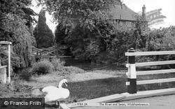The River And Swan c.1960, Wickhambreaux