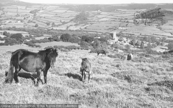 Photo of Widecombe In The Moor, Dartmoor Ponies c.1960