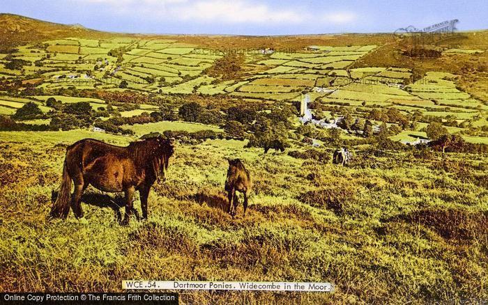 Photo of Widecombe In The Moor, Dartmoor Ponies c.1960