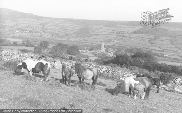 Photo of Widecombe In The Moor, Ponies c.1960