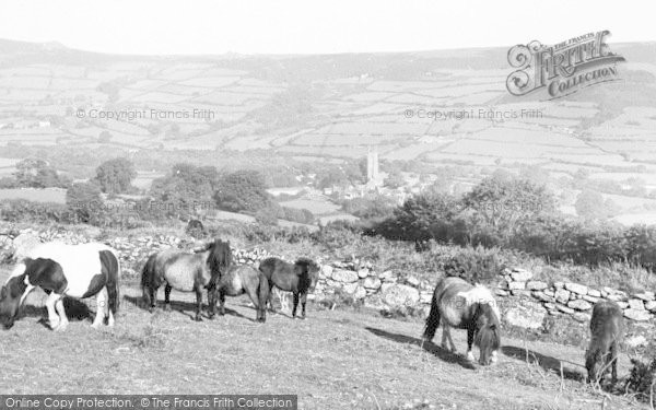 Photo of Widecombe In The Moor, Ponies c.1960