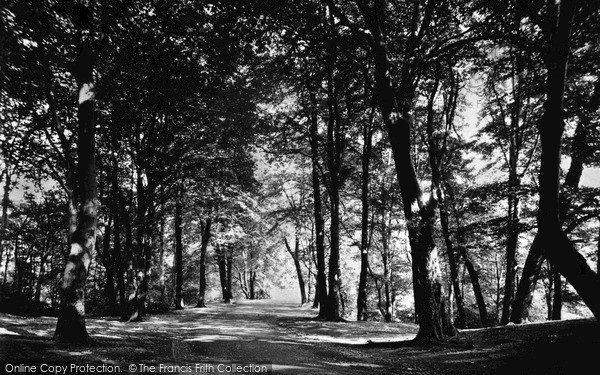 Photo of Wigan, Entrance To Plantation c.1955