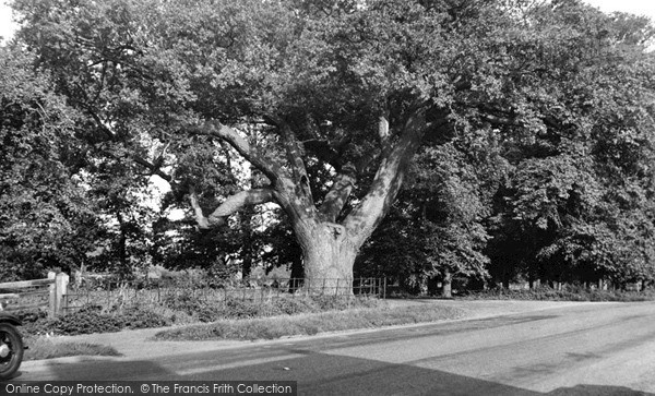 Photo of Wilburton, the Oak Tree c1955