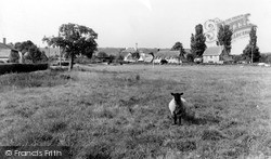 The Village c.1955, Wilcot