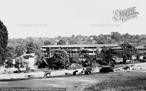 Photo of Wimbledon, The Centre Court, The Park 1950