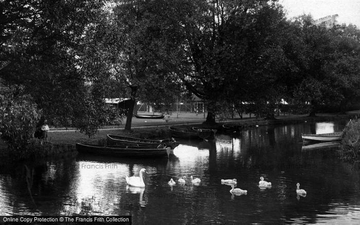 Photo of Winchester, The Park, Swan And Cygnets 1928