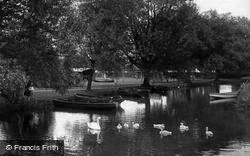 The Park, Swan And Cygnets 1928, Winchester