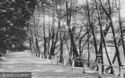 Grovelands Park c.1955, Winchmore Hill