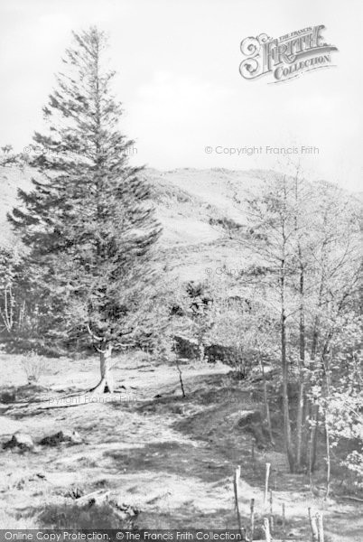 Photo of Windermere, Great Tower c.1955