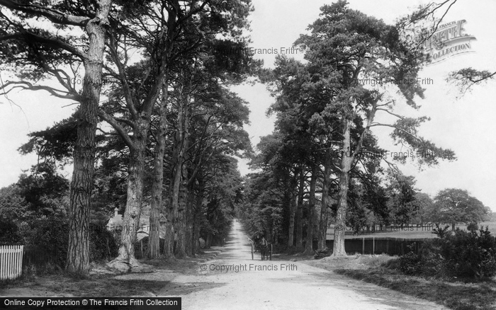 Photo of Windlesham, Snows Ride 1909