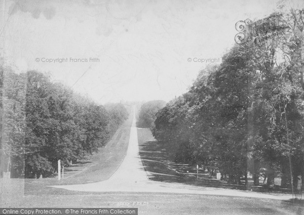 Photo of Windsor, Great Park, Long Walk 1895