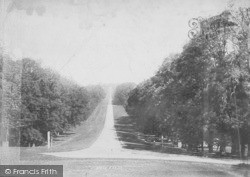 Great Park, Long Walk 1895, Windsor