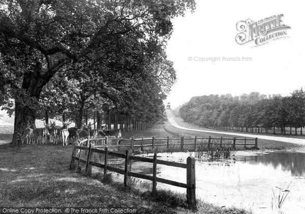 Photo of Windsor, Great Park, Long Walk 1914