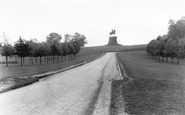 Windsor, Great Park, the Long Walk c1960