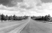 Great Park, The Long Walk c.1960, Windsor