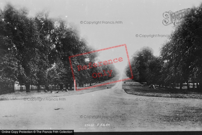 Photo of Windsor, The Long Walk 1895