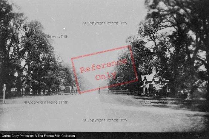 Photo of Windsor, The Long Walk From Great Gate 1895