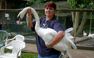 Windsor, Wendy 2004