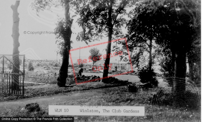 Photo of Winlaton, The Club Gardens c.1955