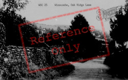 Oak Ridge Lane c.1955, Winscombe