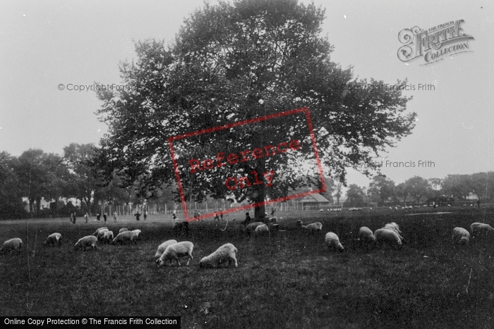 Photo of Wisbech, Recreation Ground 1929
