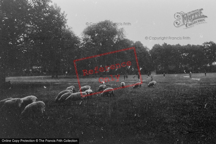 Photo of Wisbech, The Park 1929