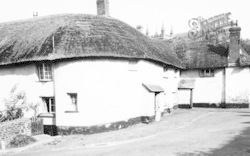 Old Black Dog Inn c.1960, Witheridge