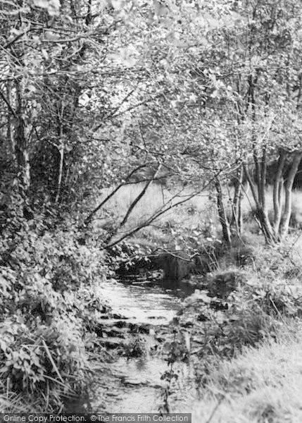 Photo of Witheridge, The Stream c.1965