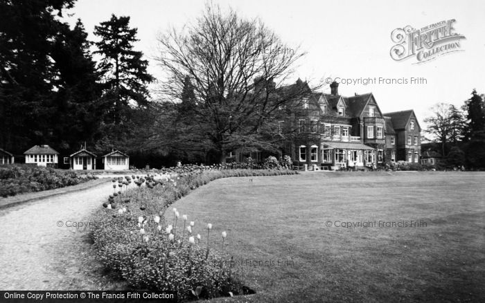 Photo of Witley, Chalets At Enton Hall c.1960