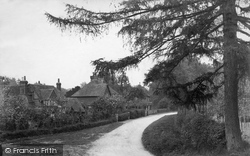 Culmer Common 1914, Witley