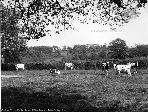 Photo of Witley, Enton Hall Stock c.1960
