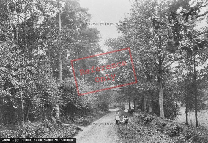 Photo of Witley, Gurdons Lane 1914
