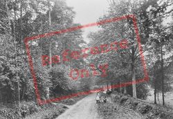 Gurdons Lane 1914, Witley