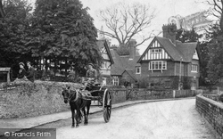 Horse And Trap 1906, Witley