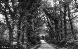 Lane Leading To Sweetwater 1927, Witley