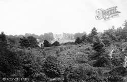 Lea Park 1898, Witley
