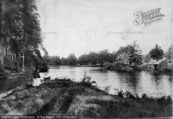 Photo of Witley, Sweetwater Pond 1906