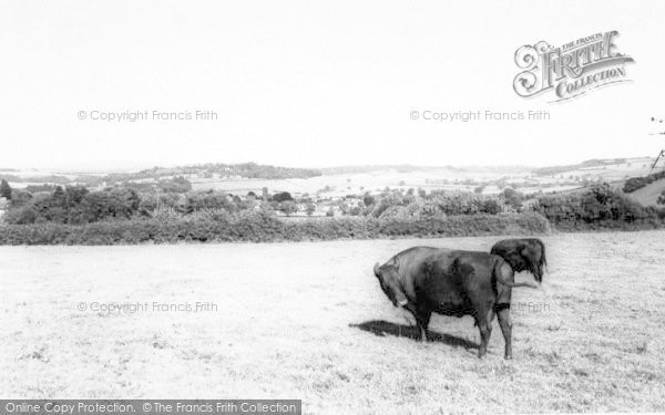 Photo of Wiveliscombe, General View c.1967