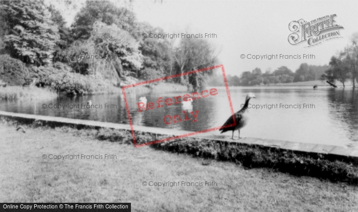 Photo of Woburn Abbey, The Lake c.1960