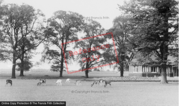 Photo of Woburn Abbey, The Park c.1955