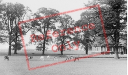 The Park c.1955, Woburn Abbey