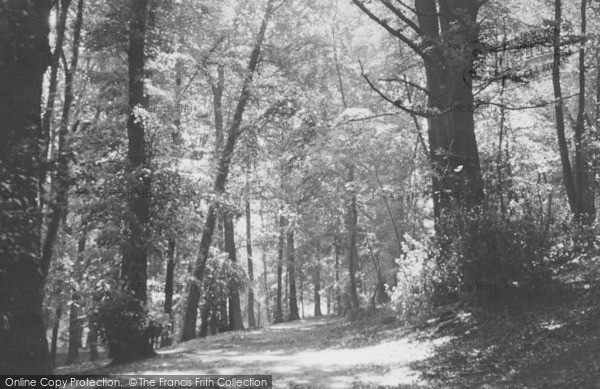 Photo of Woburn Sands, The Woods c.1955