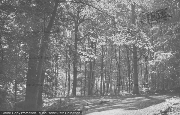 Photo of Woburn Sands, The Woods c.1955