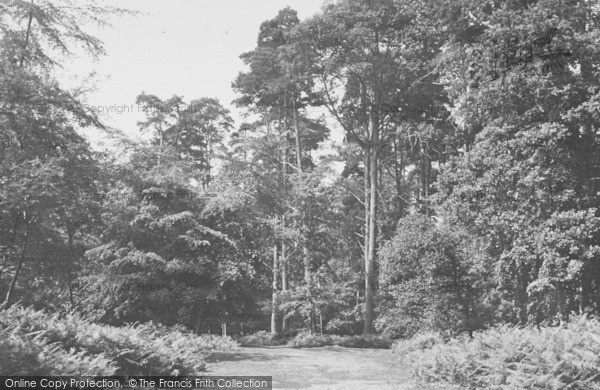 Photo of Woburn Sands, The Woods c.1955