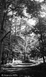 The Woods c.1955, Woburn Sands