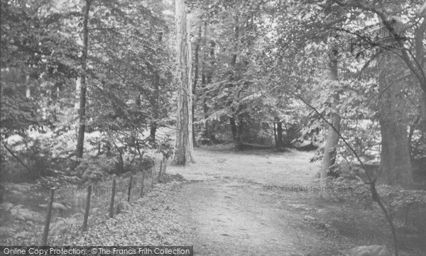 Photo of Woburn Sands, The Woods c.1960