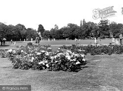 The Park c.1955, Woking